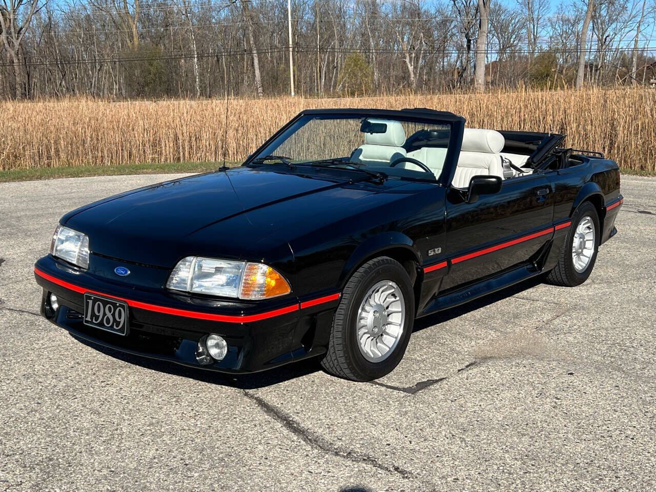 1989 FORD Mustang