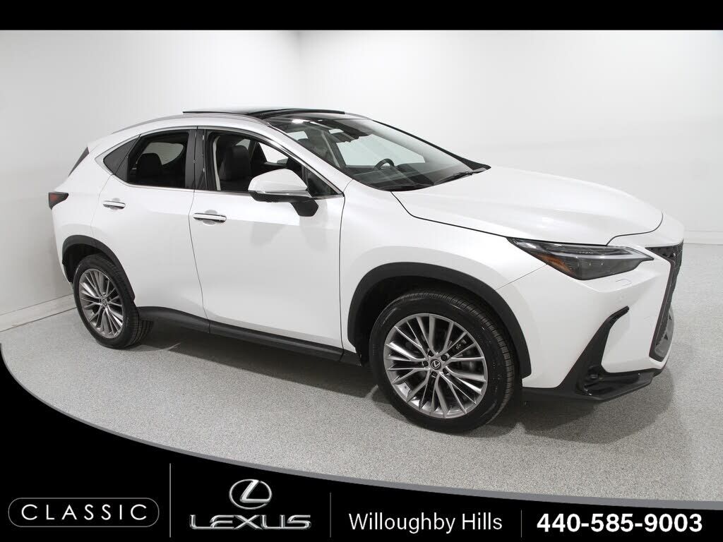 2024 LEXUS NX
