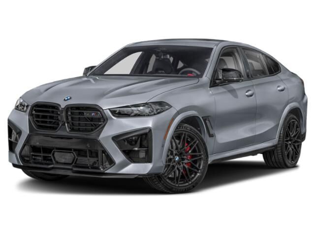 2024 BMW X6