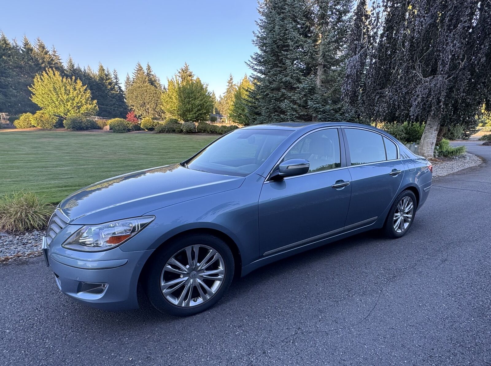 2011 HYUNDAI Genesis