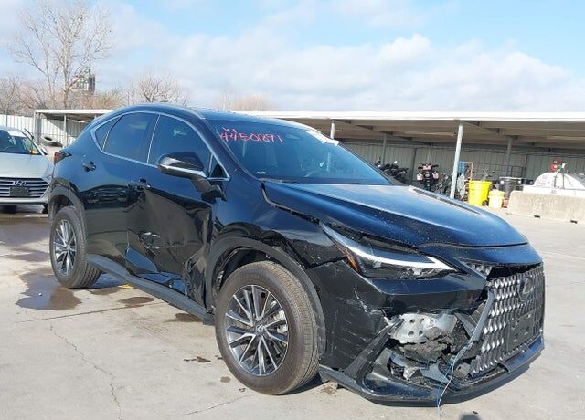2024 LEXUS NX