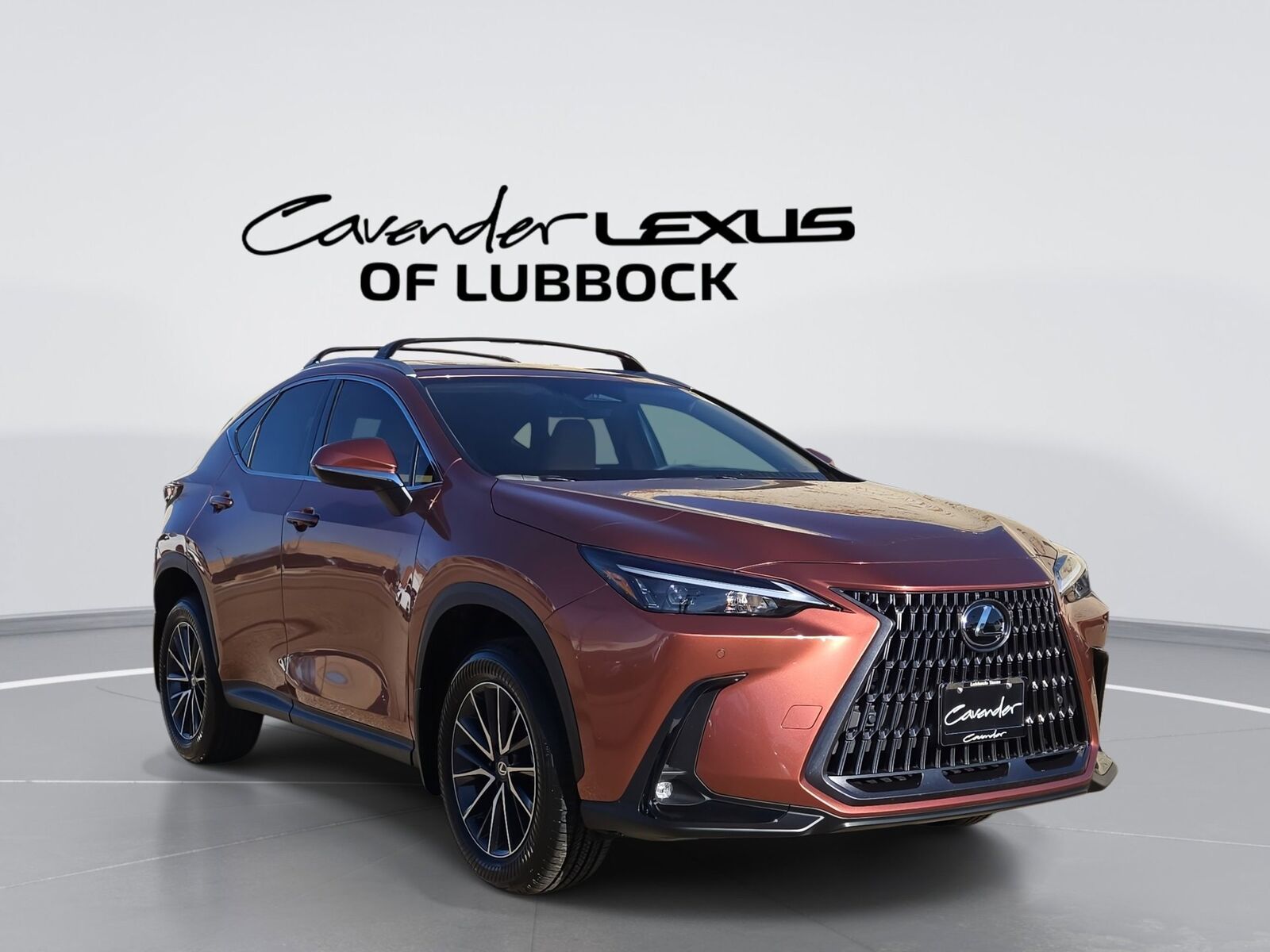 2026 LEXUS NX