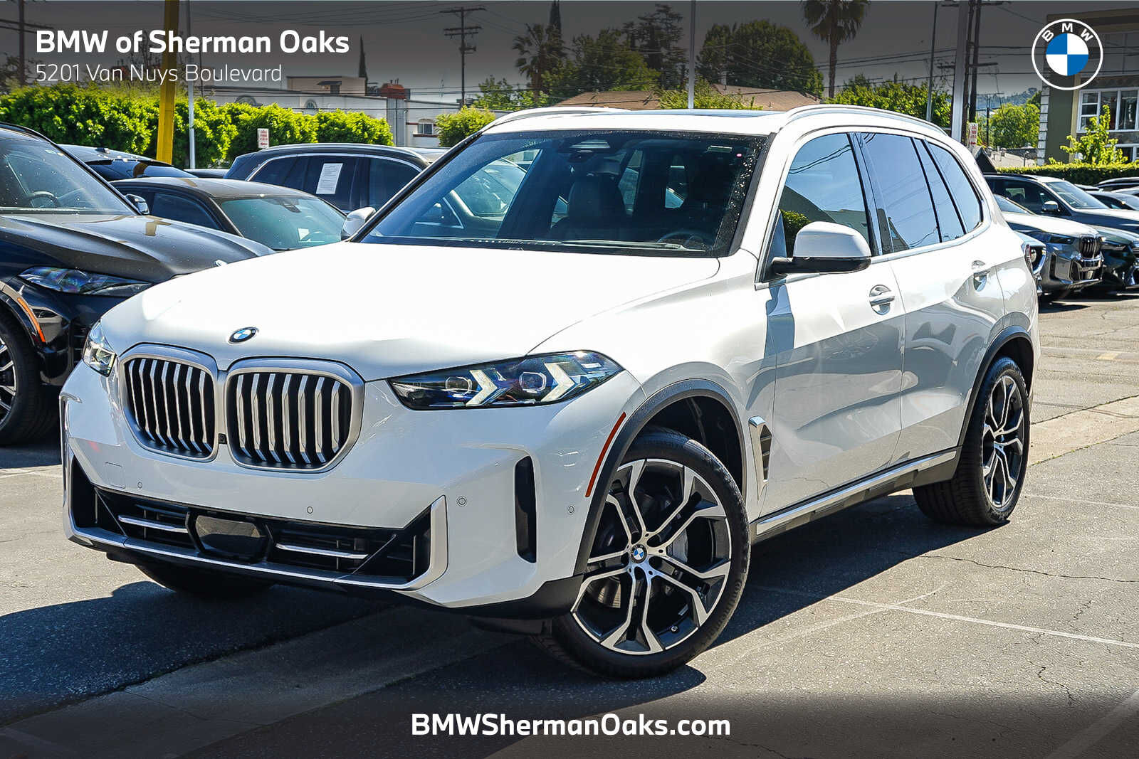 2025 BMW X5