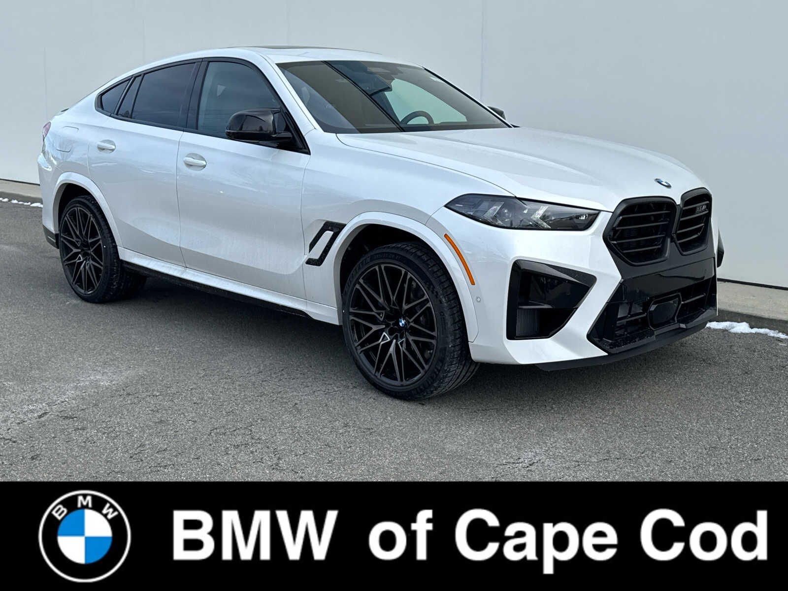 2026 BMW X6