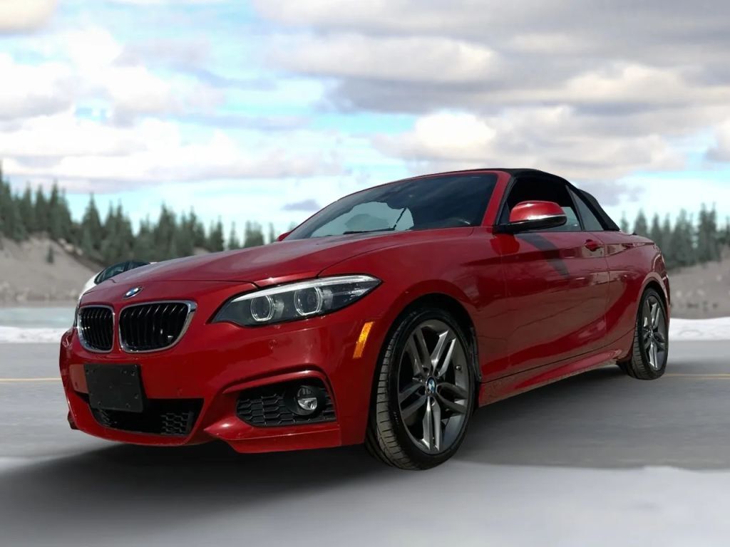 2019 BMW 2 Series