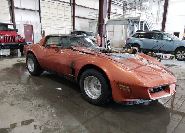 1981 CHEVROLET Corvette