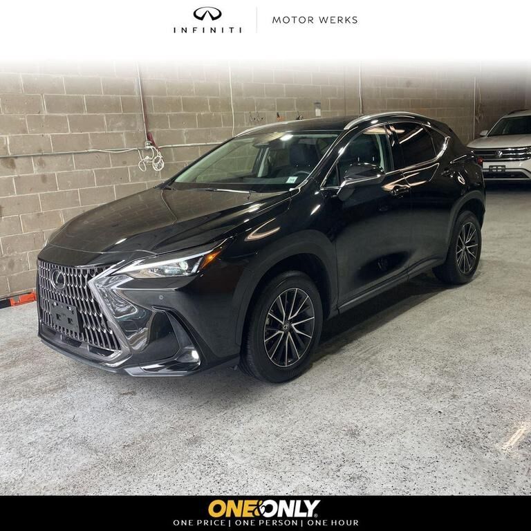 2024 LEXUS NX
