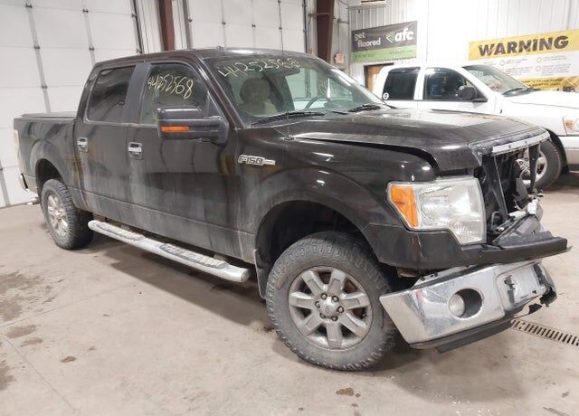 2013 FORD F-150