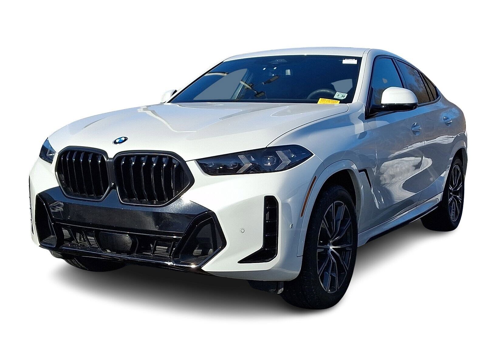 2025 BMW X6