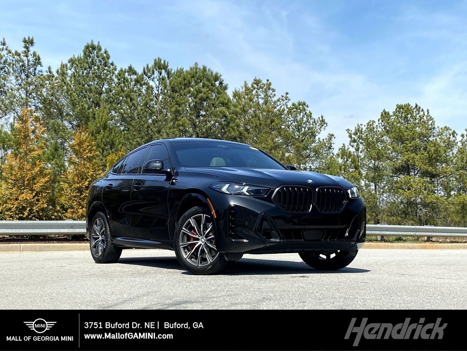 2024 BMW X6