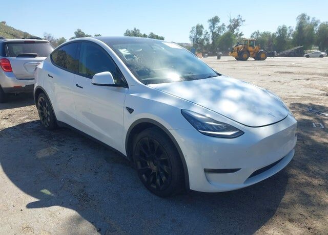 2021 TESLA Model Y