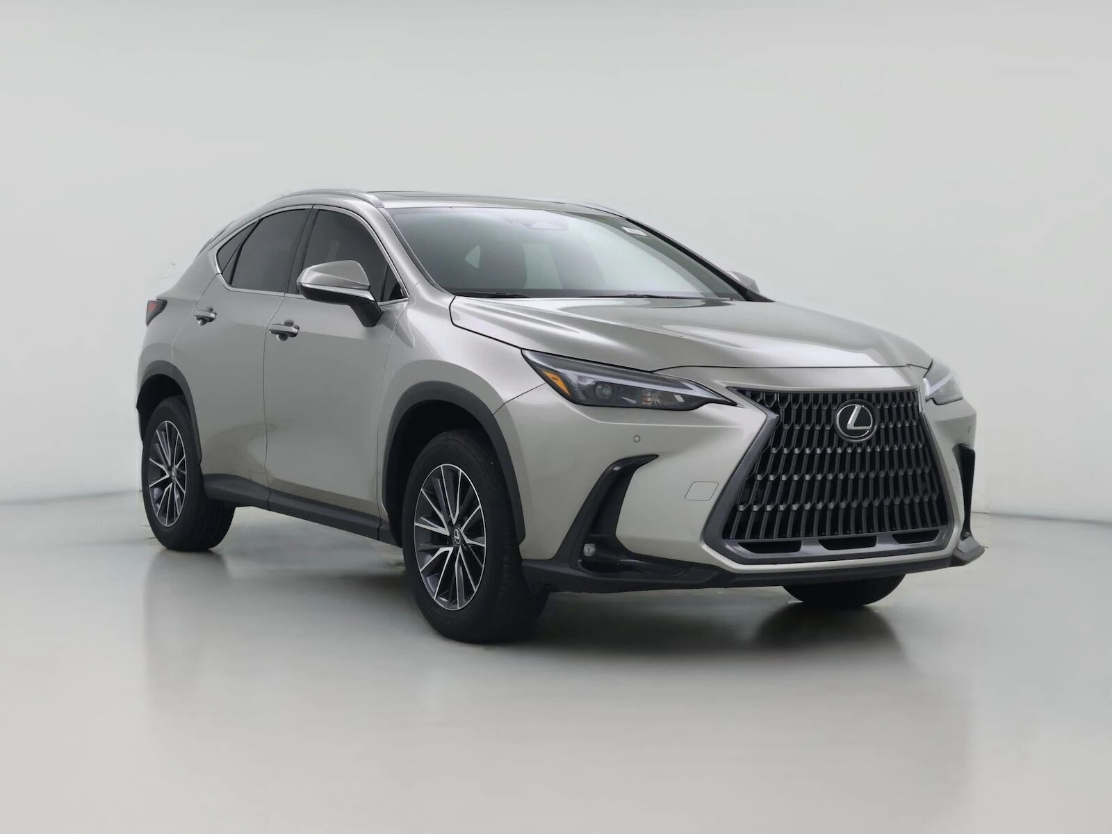 2025 LEXUS NX