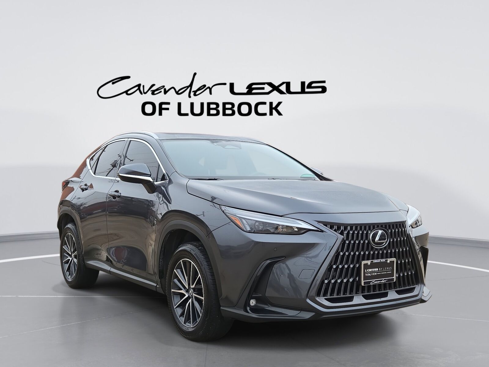 2025 LEXUS NX