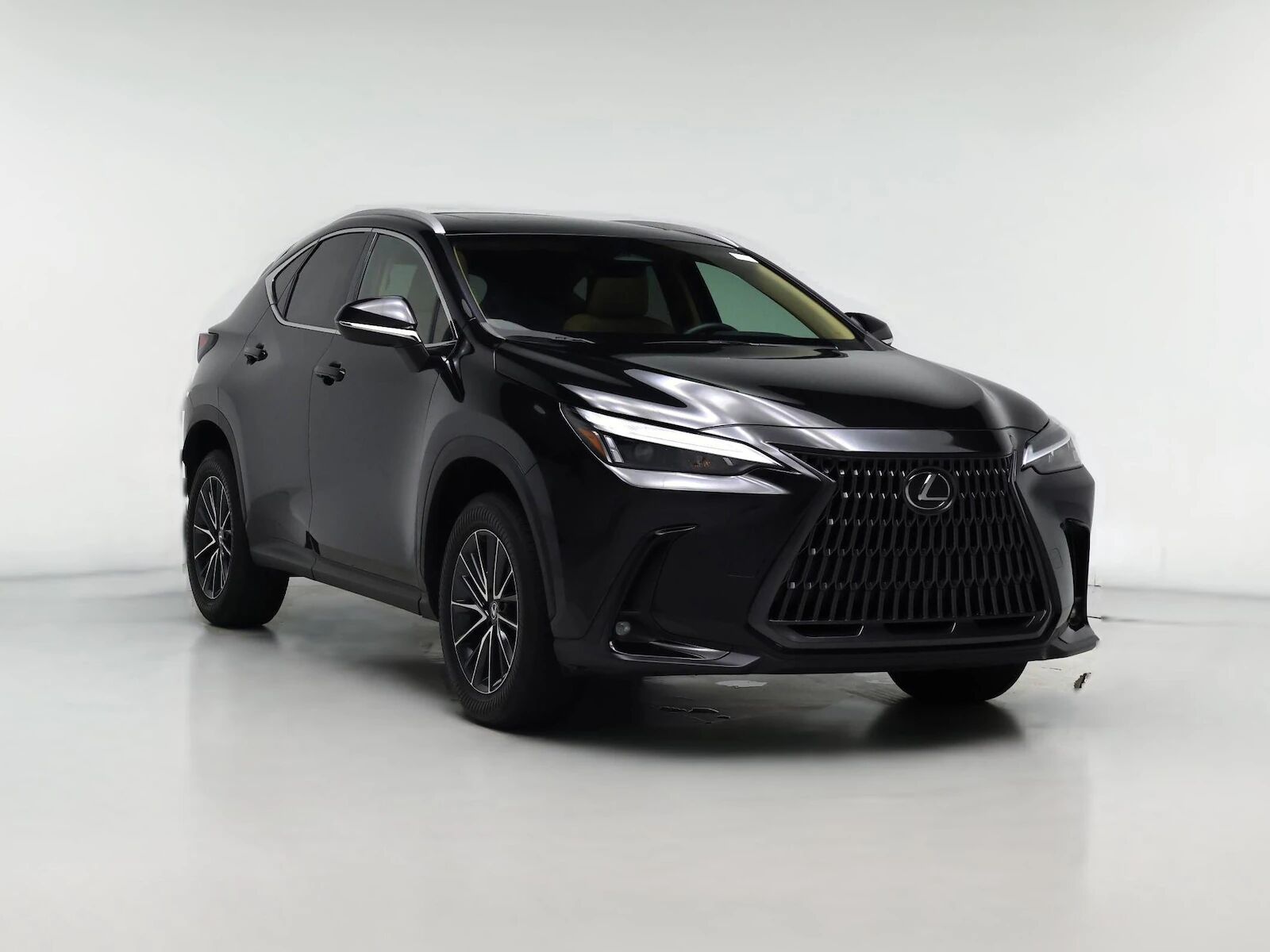 2024 LEXUS NX