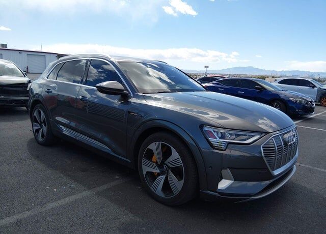2019 AUDI e-tron