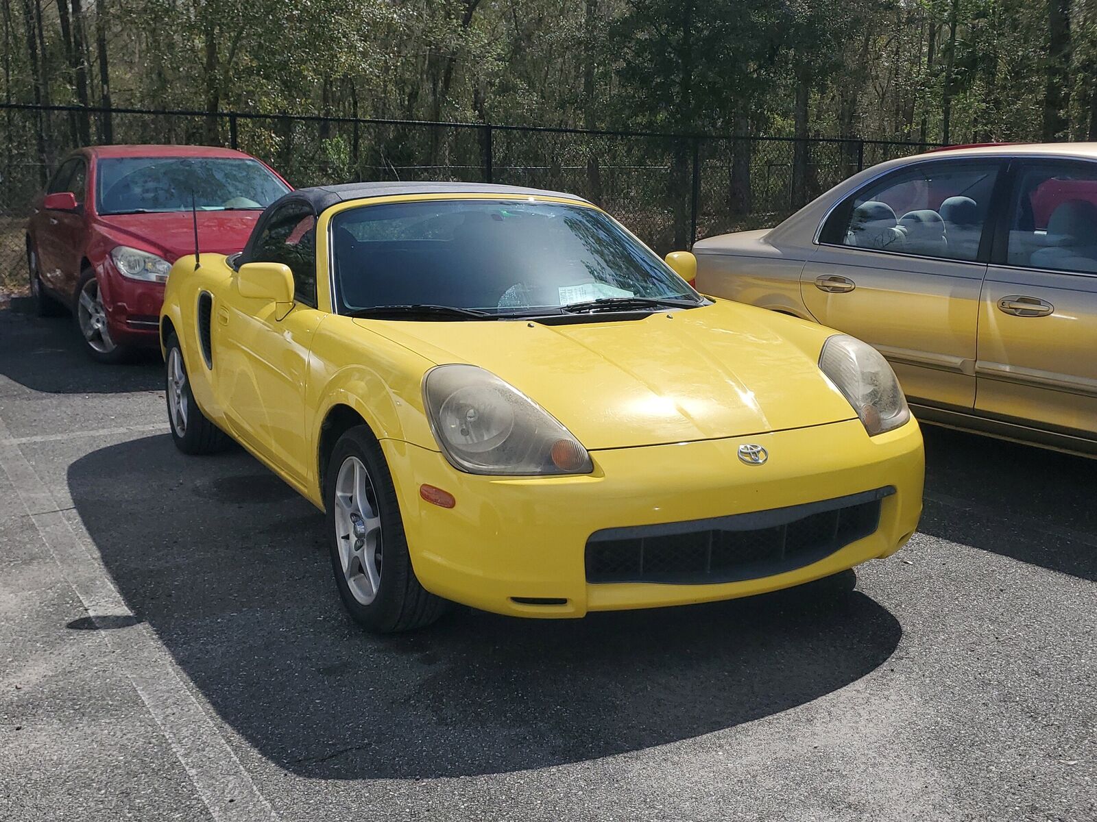2000 TOYOTA MR2