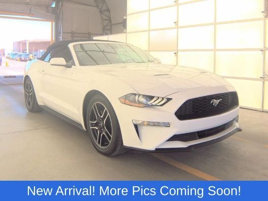 2022 FORD Mustang