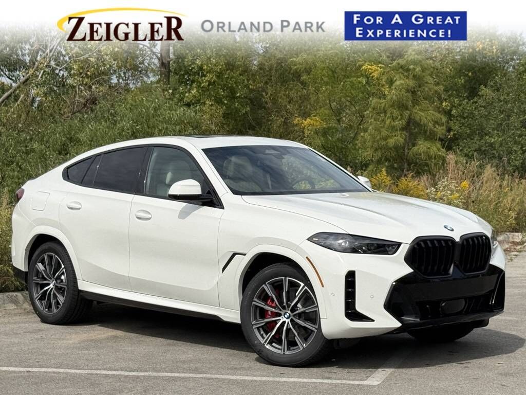 2026 BMW X6