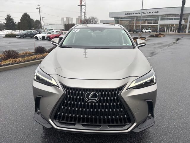 2025 Lexus NX