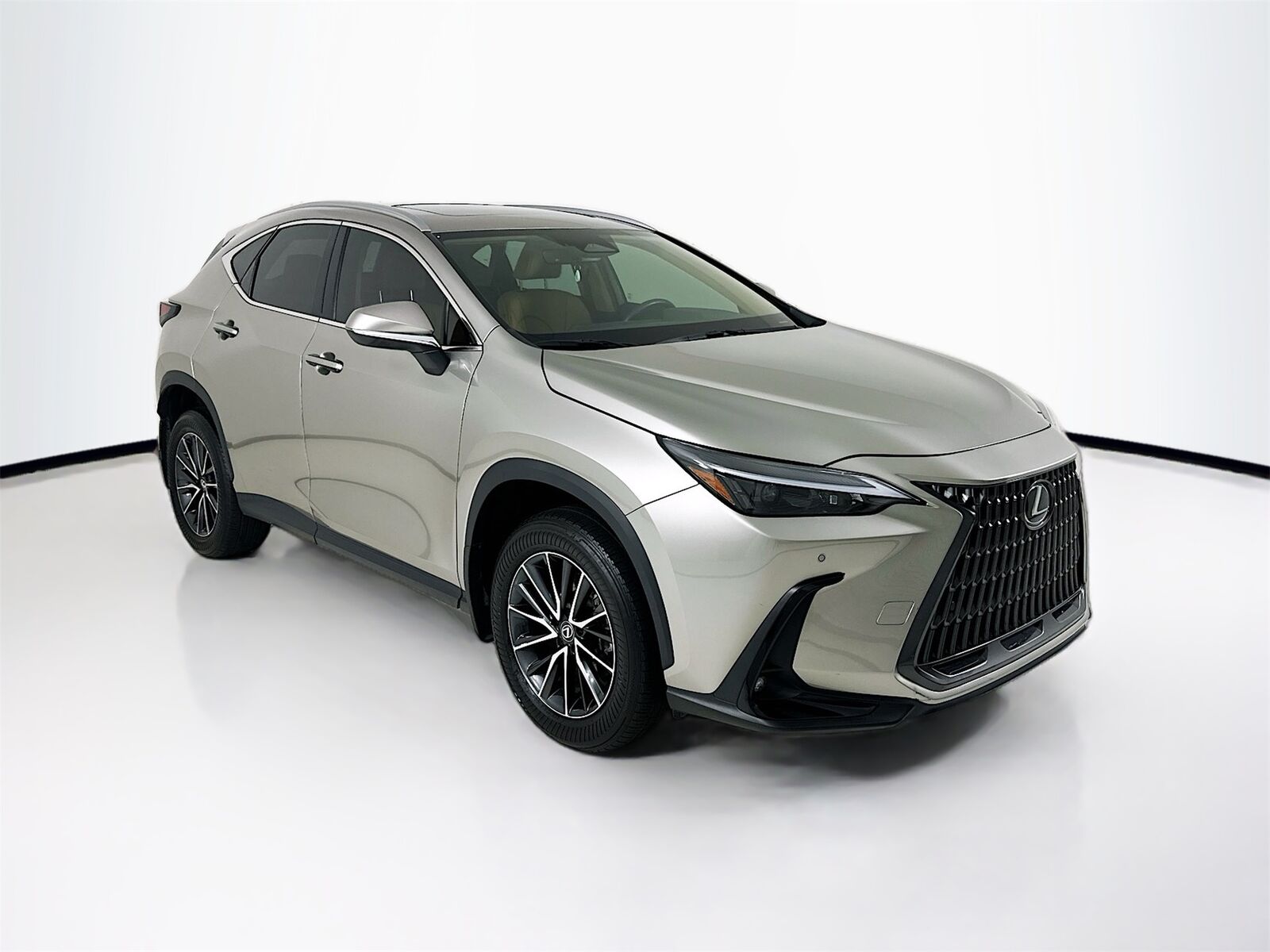 2024 LEXUS NX
