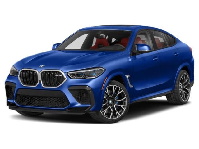 2023 BMW X6