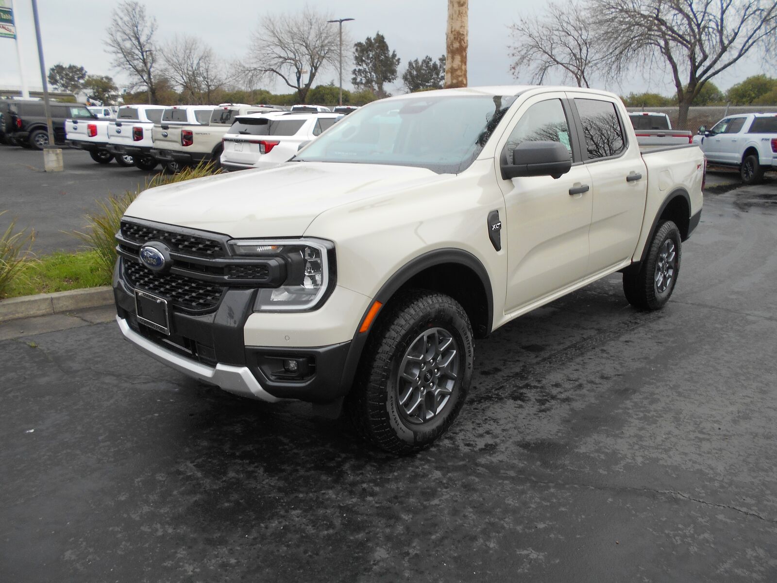 2025 FORD Ranger