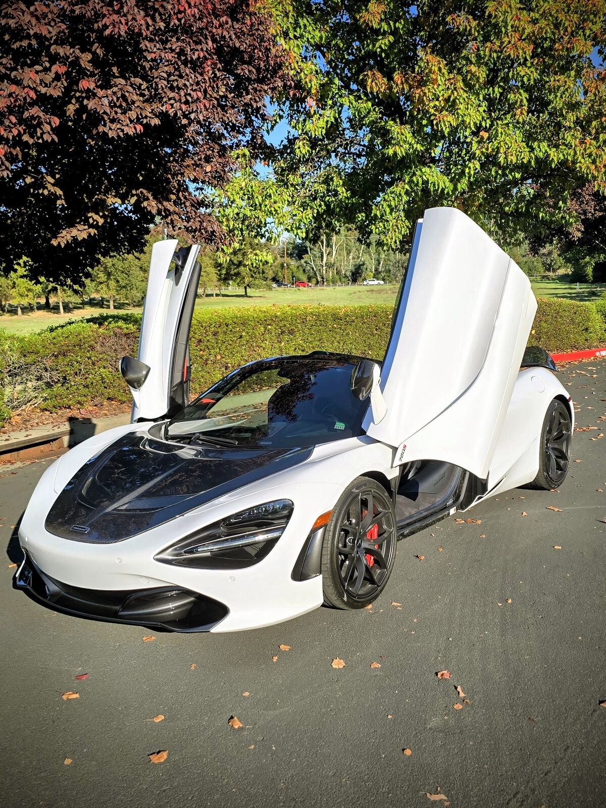 2022 MCLAREN 720S