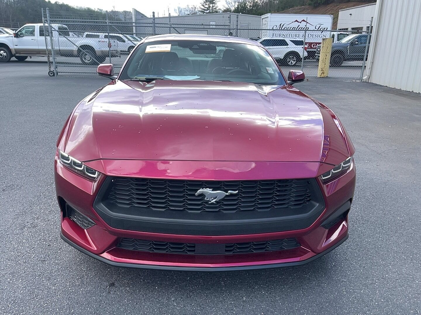 2025 FORD Mustang