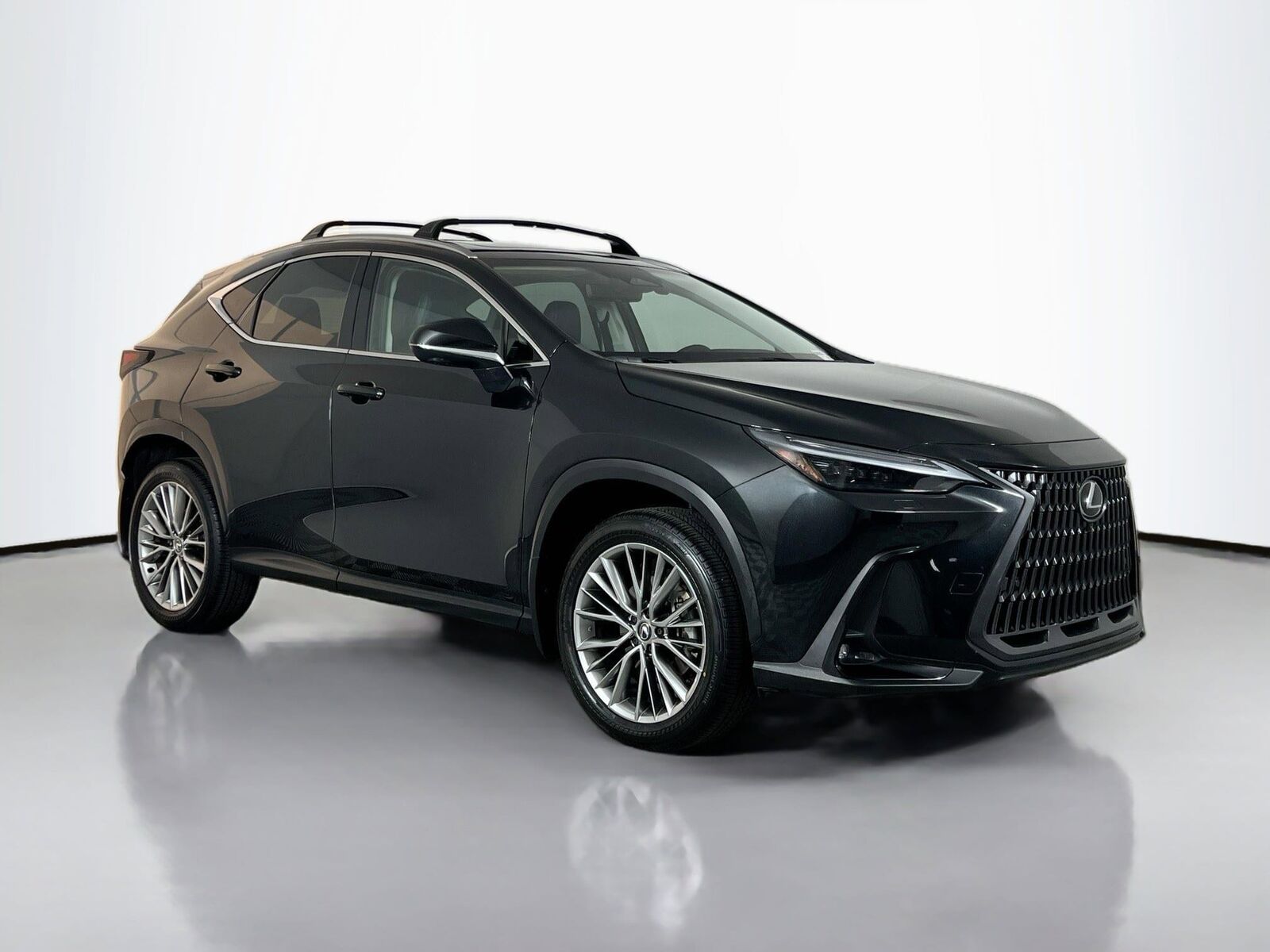 2024 LEXUS NX