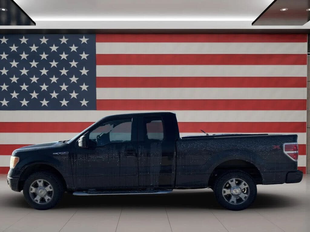 2010 FORD F-150