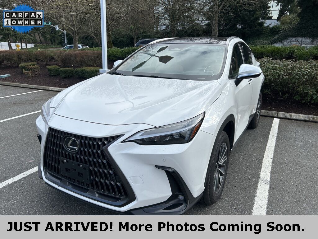 2024 LEXUS NX