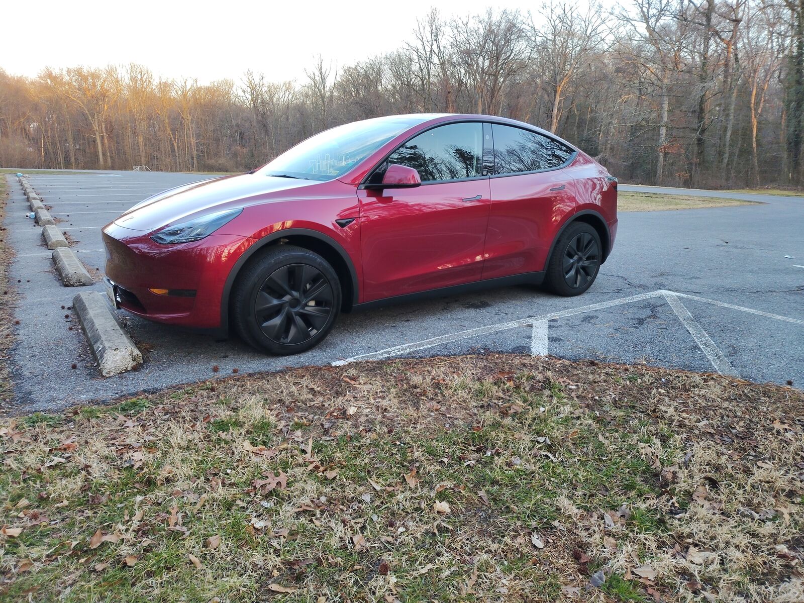 2024 TESLA Model Y
