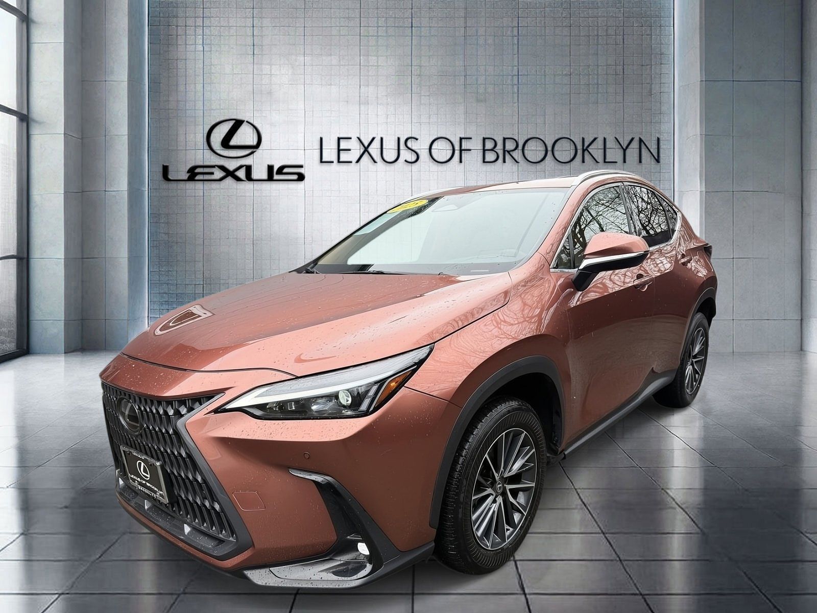 2025 LEXUS NX