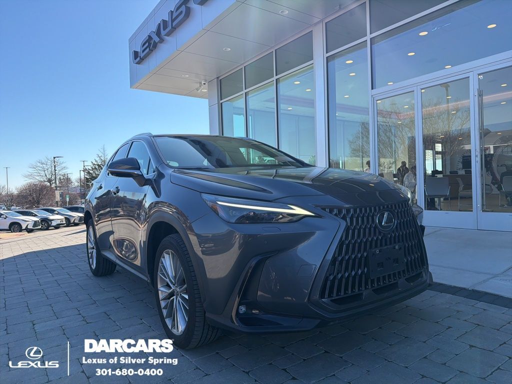 2024 LEXUS NX