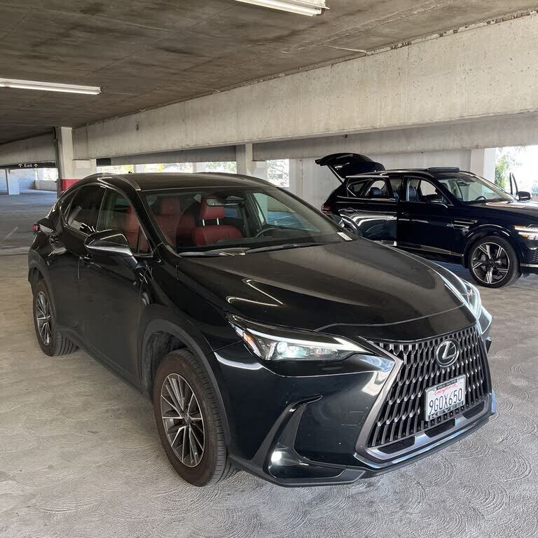 2024 LEXUS NX