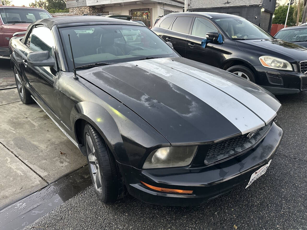 2005 FORD Mustang