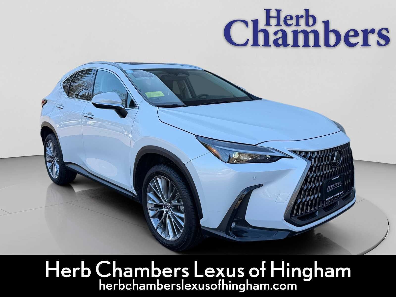 2025 LEXUS NX