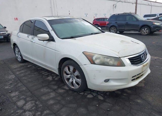 2010 HONDA Accord