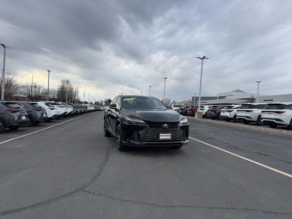 2024 LEXUS RX