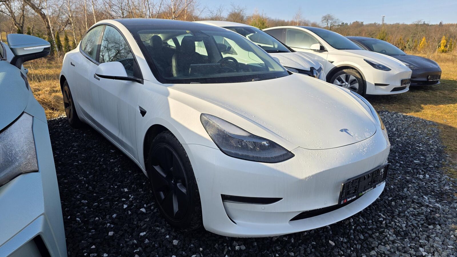 2021 TESLA Model 3