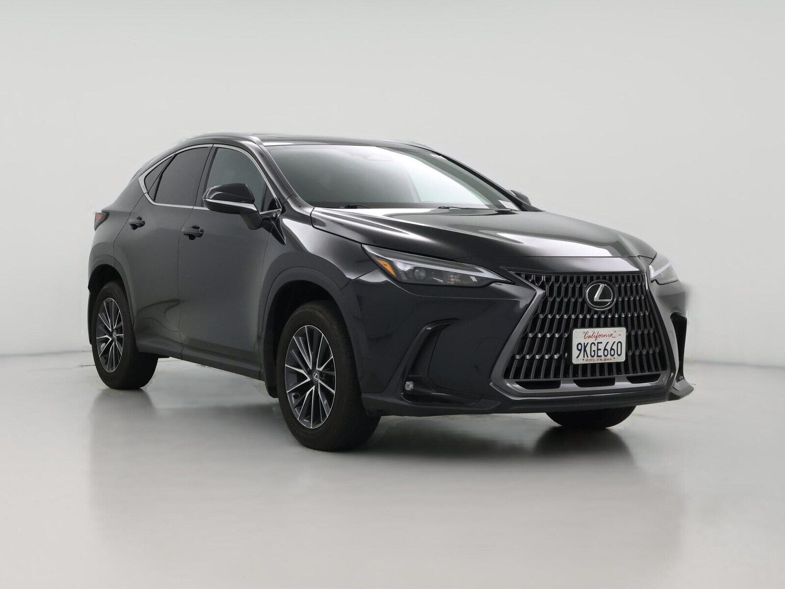 2024 LEXUS NX