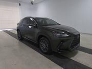2025 LEXUS NX