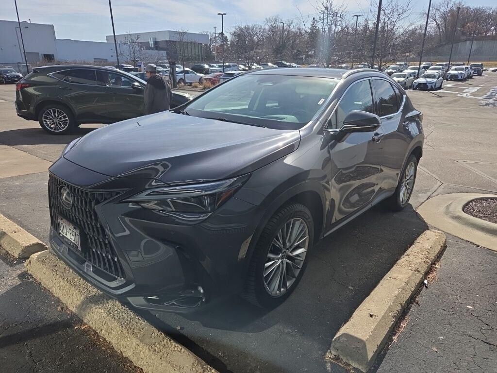 2024 LEXUS NX