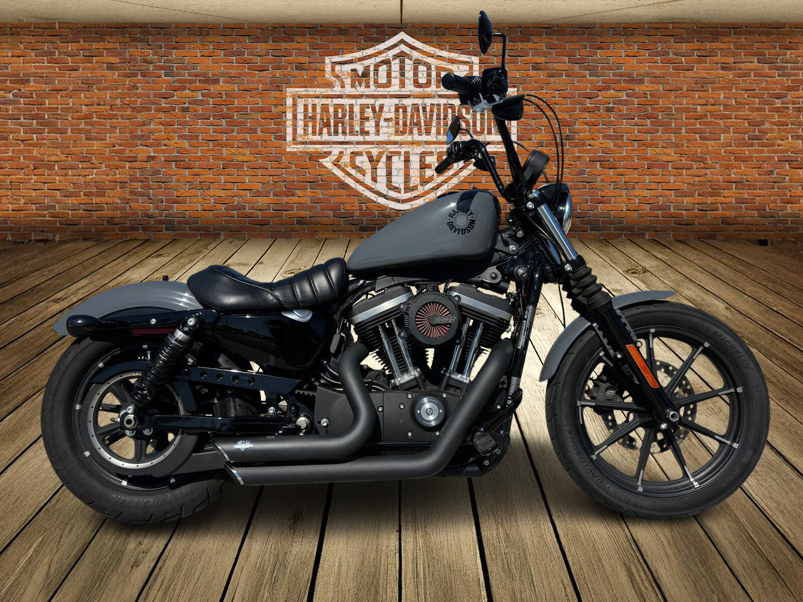 2022 HARLEY DAVIDSON Iron 883