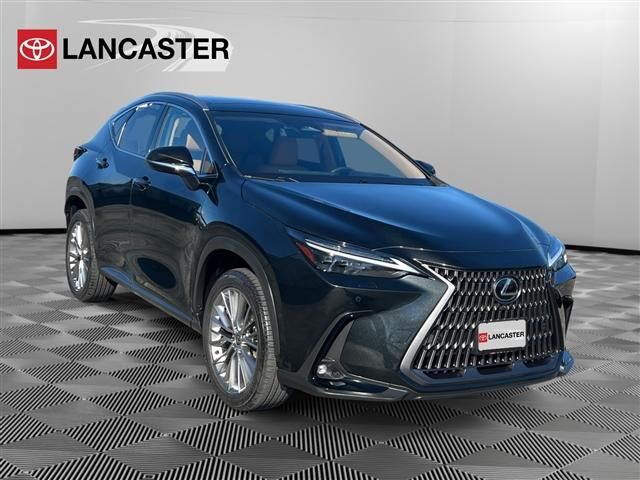 2024 LEXUS NX