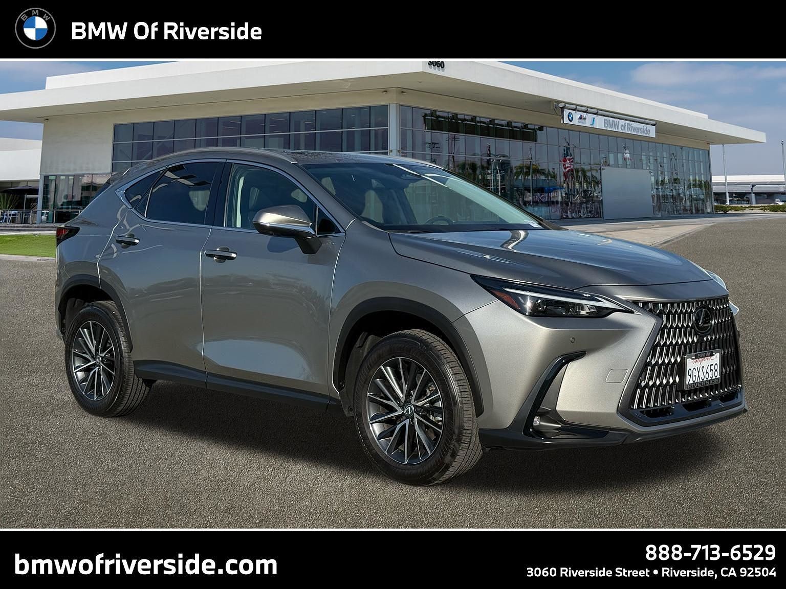2024 LEXUS NX