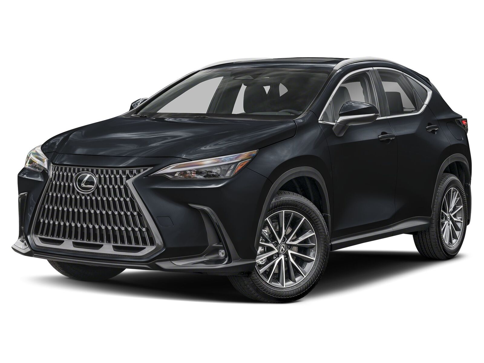 2025 LEXUS NX