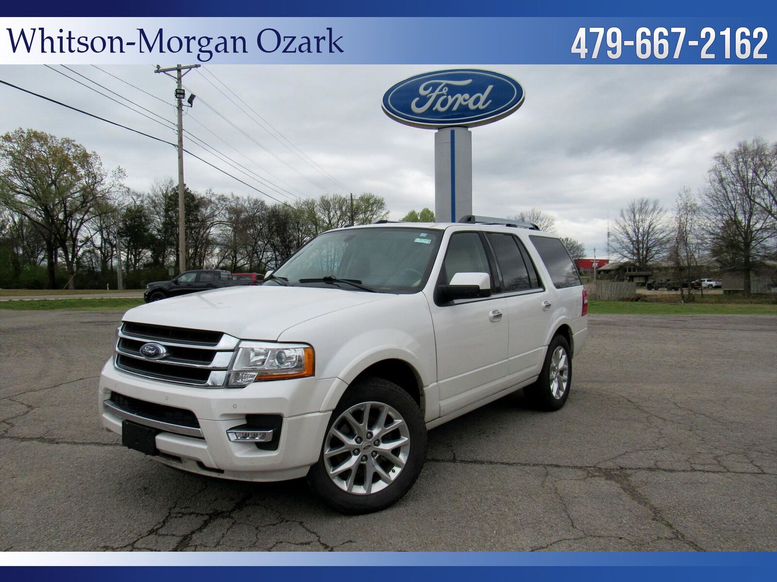 2017 FORD Expedition