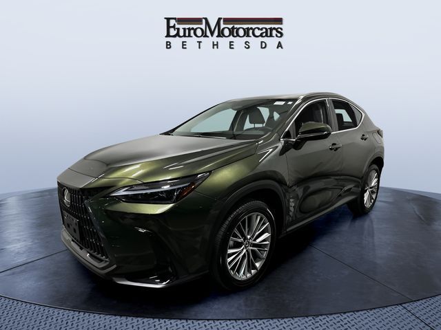2025 LEXUS NX