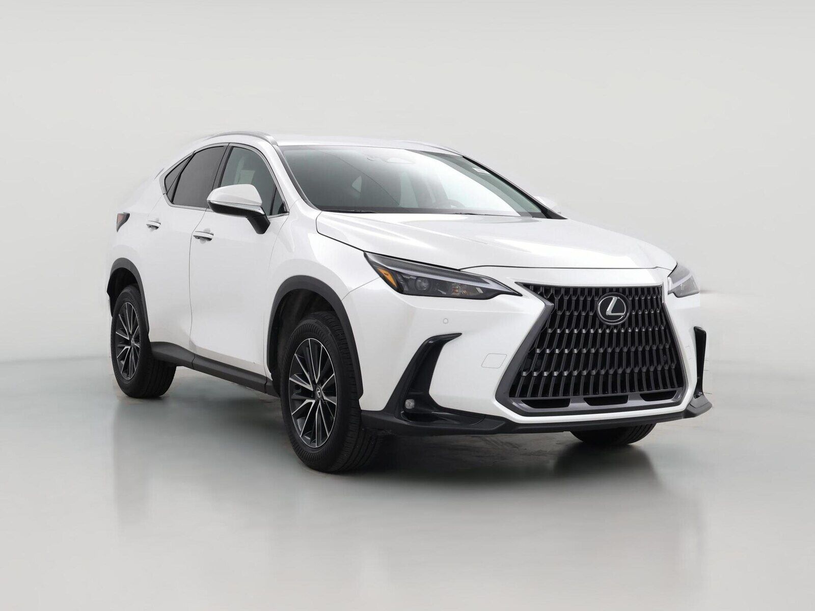 2025 LEXUS NX